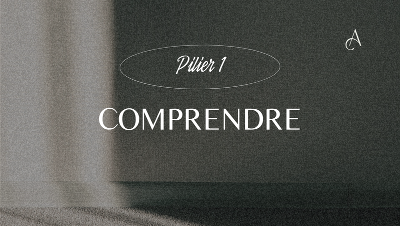 Comprendre les grandes classes d'actifs